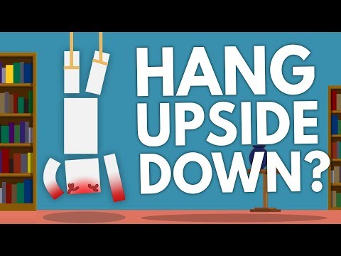 What If You’re Upside Down For Too Long? - Dear Blocko #6 - YouTube