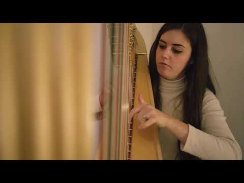 Promotional video thumbnail 1 for Carrie Tollett Harpist