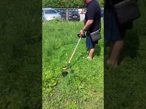 Электрокоса аккумуляторная DeWALT DCM561PB: мощность и удобство Электрокоса аккумуляторная DeWALT DCM561PB: мощность и удобство