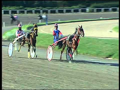 Trotto 22/11/2015 - Corsa Minitrotter