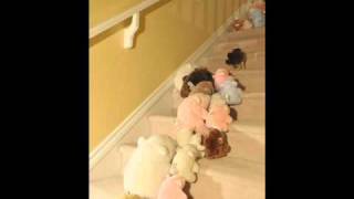 Bears Dancing to Stuck in the Middle with You by the Steve Miller Band