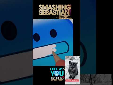 Smashing Sebastian - Cool As You #shorts OUT NOW on bandcamp