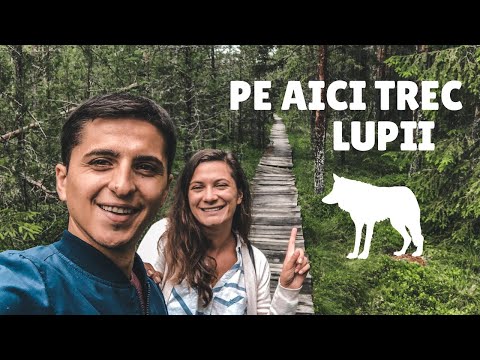 This place in ROMANIA is UNIQUE IN EUROPE || Tinovul Mare, Poiana Stampei