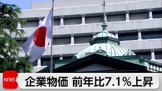 6月の国内企業物価指数　前年比7.1％の上昇　5月上回る伸び