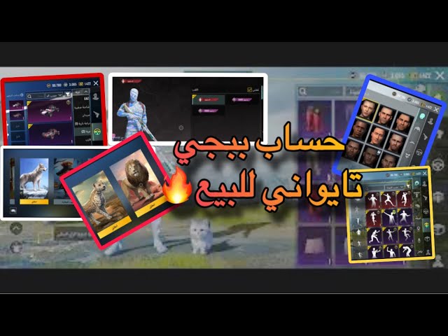 حساب ببجي التيوانية   بدلة المومياء الزرقاء بدلة X