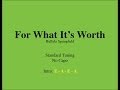 For What It's Worth - Easy Guitar (Chords and ...
