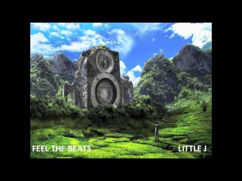 Little J - Feel The Beats Mash-Up