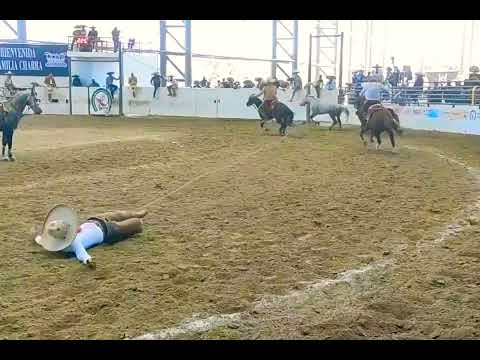 JOSÉ ANDRÉS ACEVES ACEVES RANCHO LAS CUATAS DE TEPIC NAYARIT MANGANA 3...