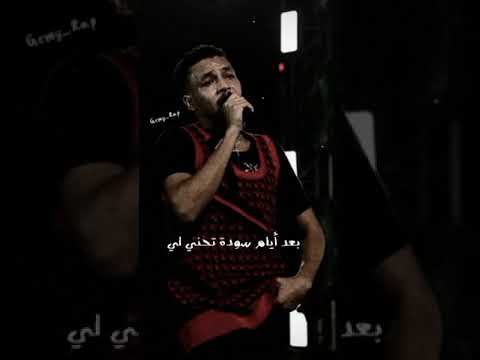 ويجز تايه ويجز مصر