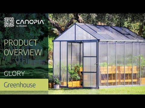 Växthus Canopia by Palram Glory 12,2 m² Mörkgrå