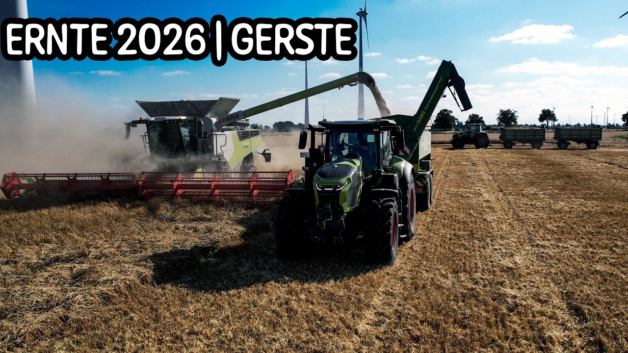 Ernte 2026 | Gerste