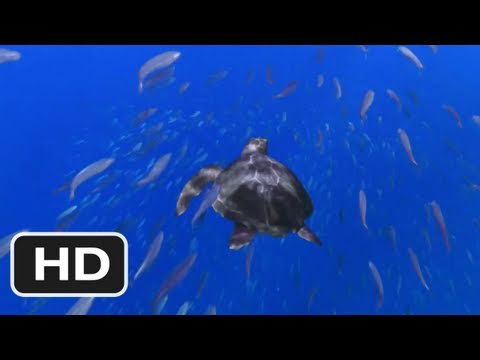 Turtle: The Incredible Journey (2011) Official Trailer