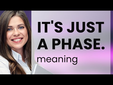 Understanding "It's Just a Phase"