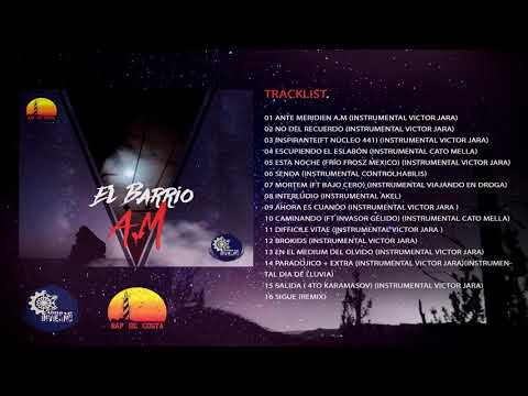 06 SENDA INSTRUMENTAL ControlHabilis