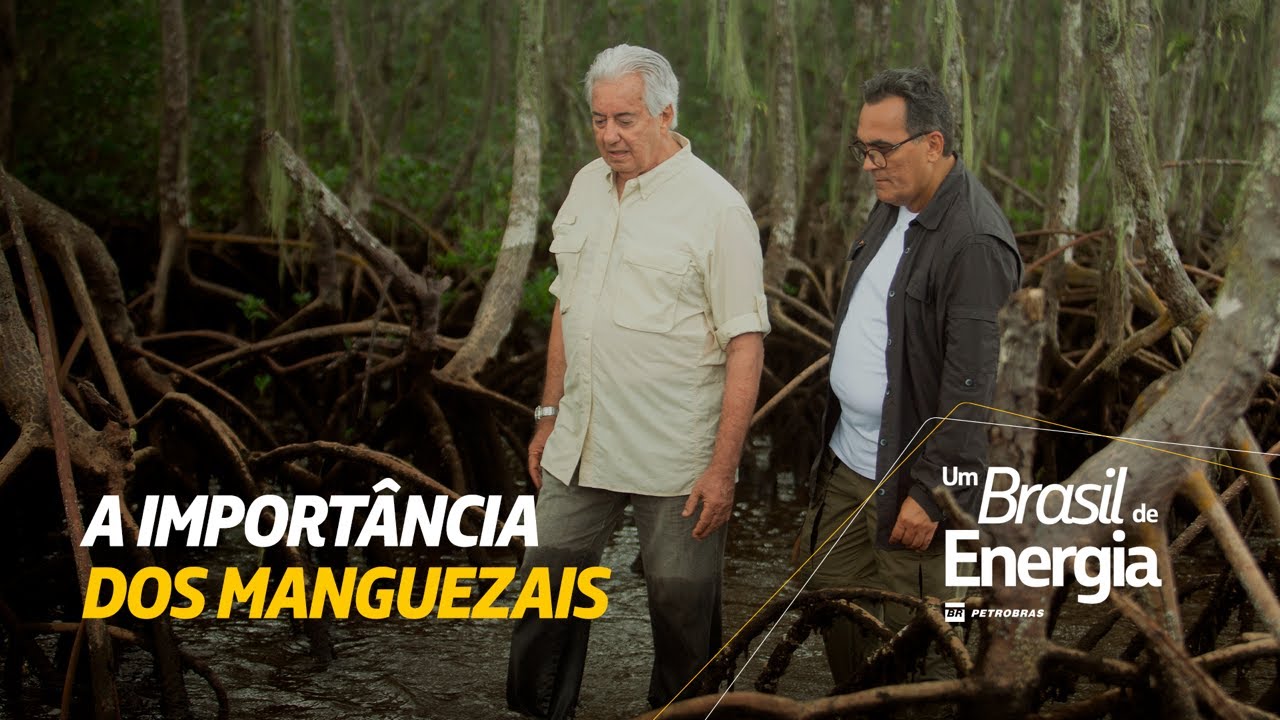 Carbono Azul | Um Brasil de Energia