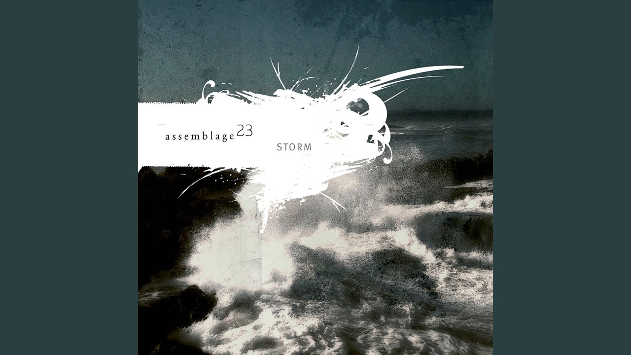 Assemblage 23 - Human