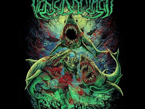 Vertebraeker -Insomnia- Bass Play Through