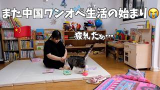 散らかった部屋に病気続き…甘い物摂取しながら頑張る中国ワンオペの1日