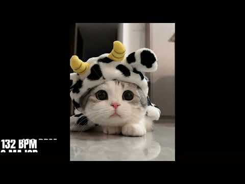 (free for profit) capoxxo x oaf1 x dreamcache hyperpop type beat "winx club"