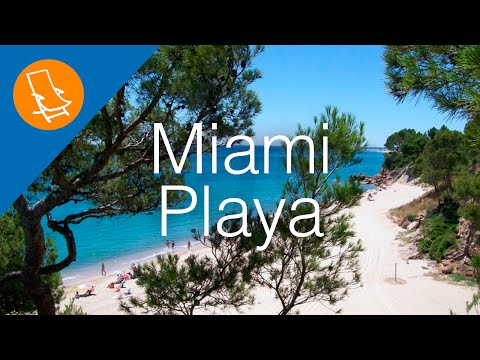 Miami Playa - Where the beach meets the forest