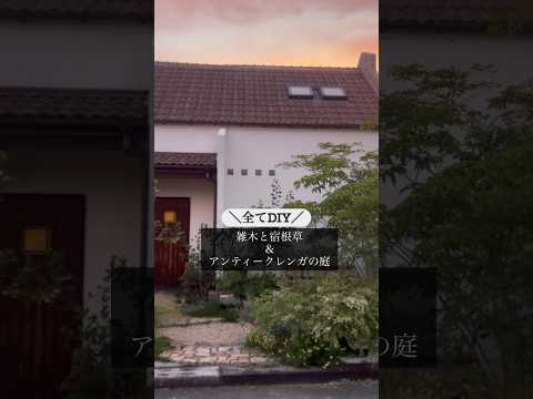 乾燥した石の多い土壌に適した植物: トップ 6 を見つけて庭を強化しましょう!  庭園