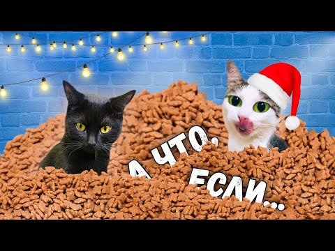 Реакция кота на большой мешок корма. Ремонт и приколы с животными / SANI vlog