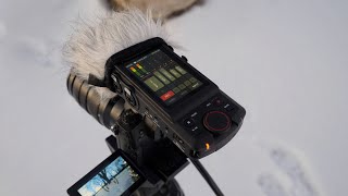 Video thumbnail for Tascam Portacapture X8 any good? by JRESHOW