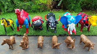 Download lagu Cows, Elephants, Buffalo, Sheep, Horses, and Camels Giving Birth | Cows Taking a Mud Bath mp3 Download lagu Cows, Elephants, Buffalo, Sheep, Horses, and Camels Giving Birth | Cows Taking a Mud Bath mp3