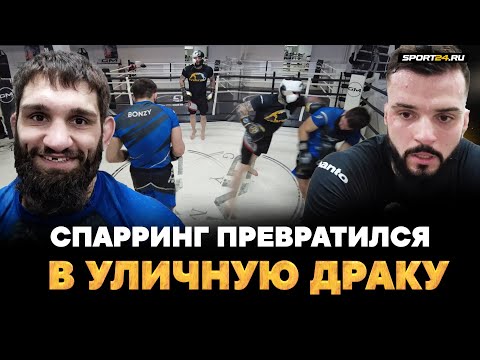 Спорт 24 новости спорта