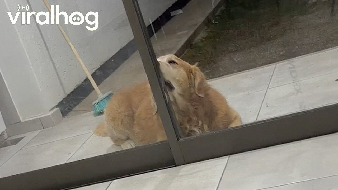 Wow This Glass Tastes Great || ViralHog