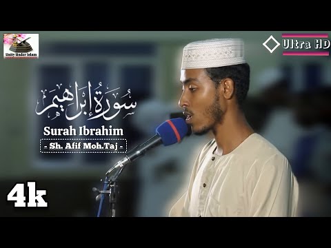 Amazing and Heartwarming Quran Recitation 4K [Ultra HD] | Sh: Afif Moh. Taj |Surat Ibrahim #4k