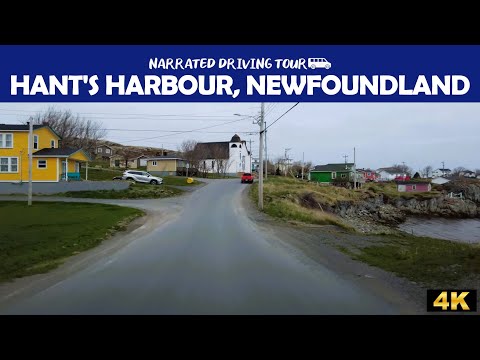 🛣️ Hant's Harbour, Newfoundland! 🇨🇦🌟4K Drive