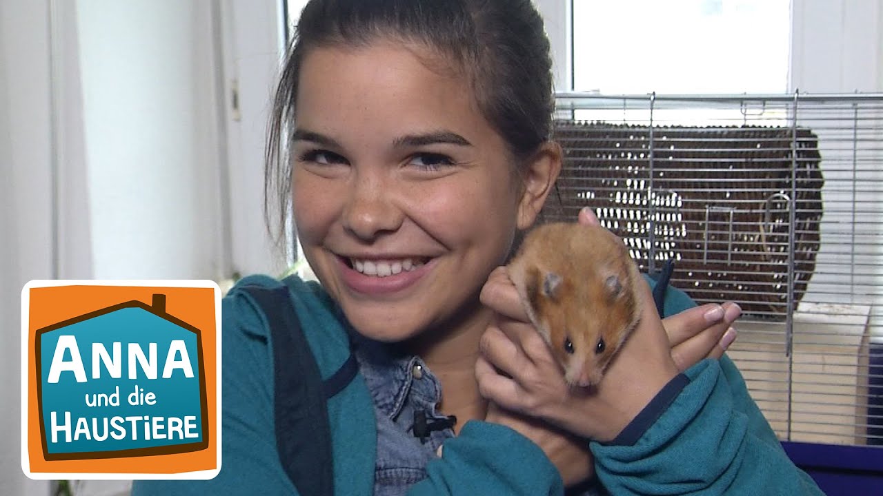 Hamster | Reportage für Kinder | Anna und die Haustiere