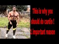This is why should you do cardio !