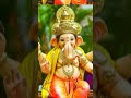 4k Status Video Ridhi Sidhi Ke Data Mere Ganpati Good Morning 4k Status Video Shorts Ytshorts