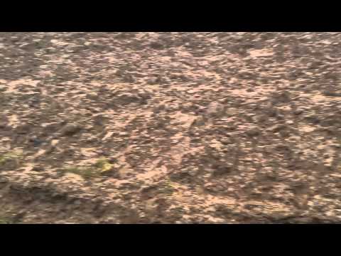 Der  Sprung auf das Feld