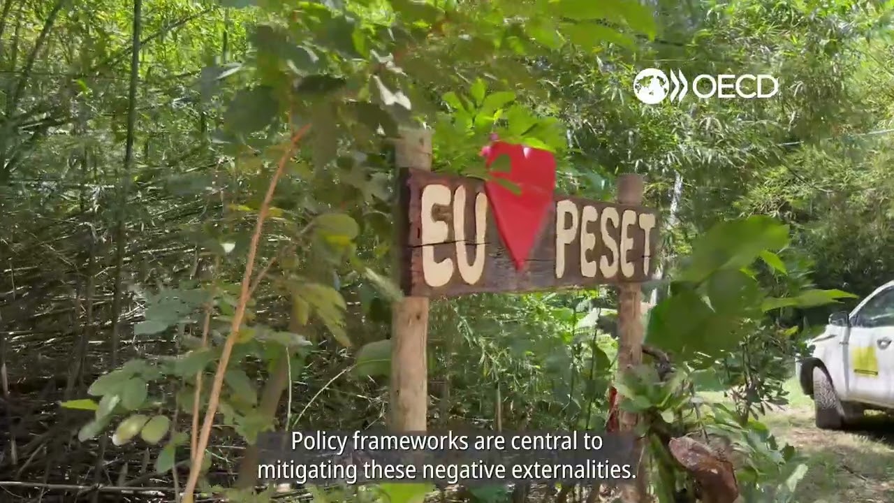 Can urban policy protect ecosystems?