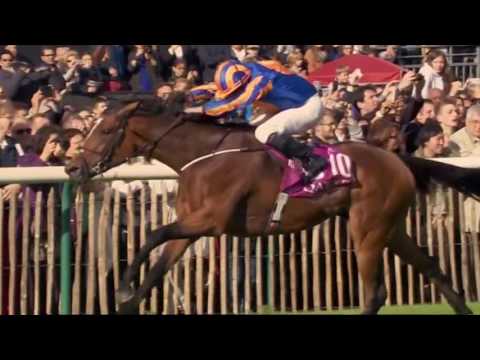 Flintshire Faces O'Brien Duo in 2016 Breeders' Cup Turf