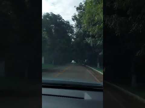 Estrada da borracha  Xapuri Acre