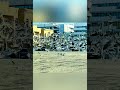 Onakka Munthiri Whatsapp Status Hridayamstatus Hridayam Shorts Seagulls Dubai Jumeirah