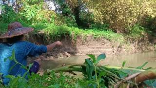 Fishing In The River