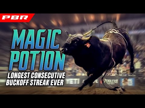 Magic Potion: The Bull That Can’t Be Tamed