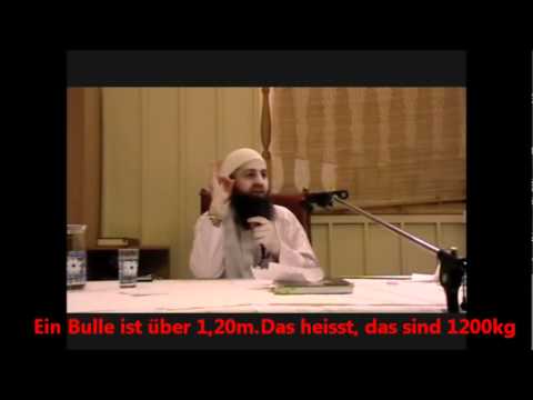 islaminfo100 - Mr Safet Kuduzovic   Ist das Fleisch in Kindergärten Helal