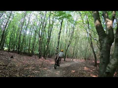 Mountain Bike Tour in Hareskoven Furesø Copenhagen Capital Area 4K