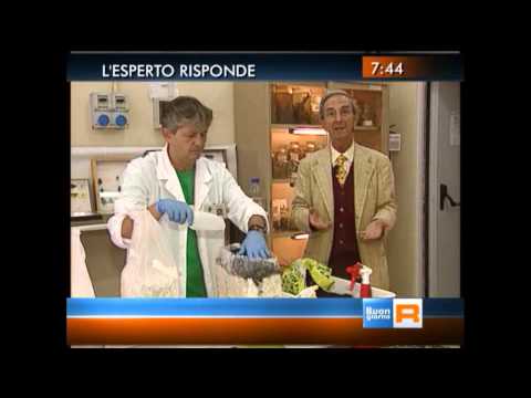 Coltivare funghi cardoncelli in casa