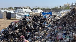 Nueva crisis sanitaria en Gaza: miles de roedores acosan a los refugiados en los campamentos