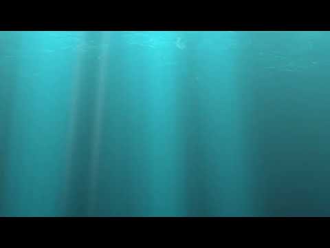 Maitri Upanishad: A Journey of Friendship and Enlightenment