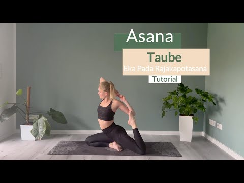 Yoga Asana | Tutorial | Taube