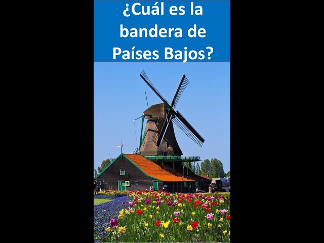 Vídeo relacionado con AZ FLAG Bandera Países Bajos 45x30 cm Neerlandesa Poliéster 100D Cuerdas
