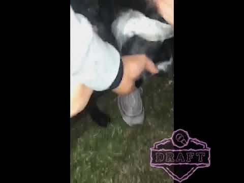 @2c.pr vs @_hozwal - #Round2 semifinal #DraftFMS2019(torneo)